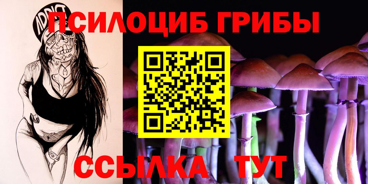 Псилоцибиновые грибы мухоморы Боровичи